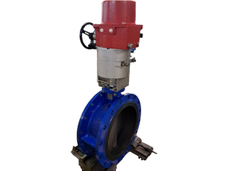 Control valve, flange butterfly valve