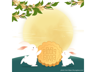 Moon cake festival